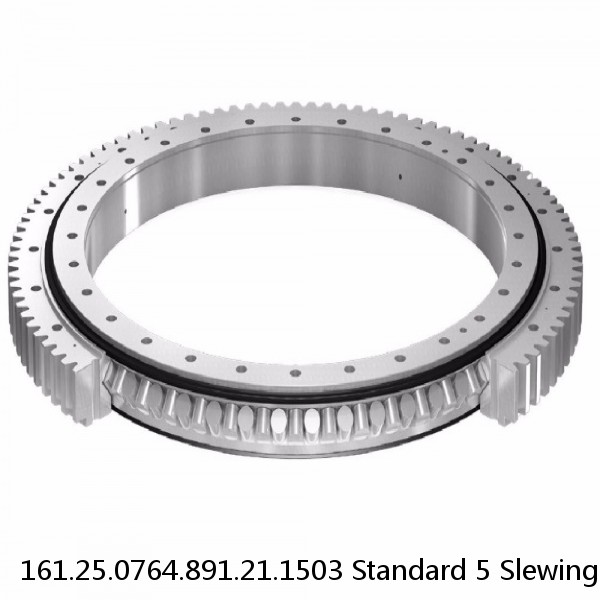 161.25.0764.891.21.1503 Standard 5 Slewing Ring Bearings
