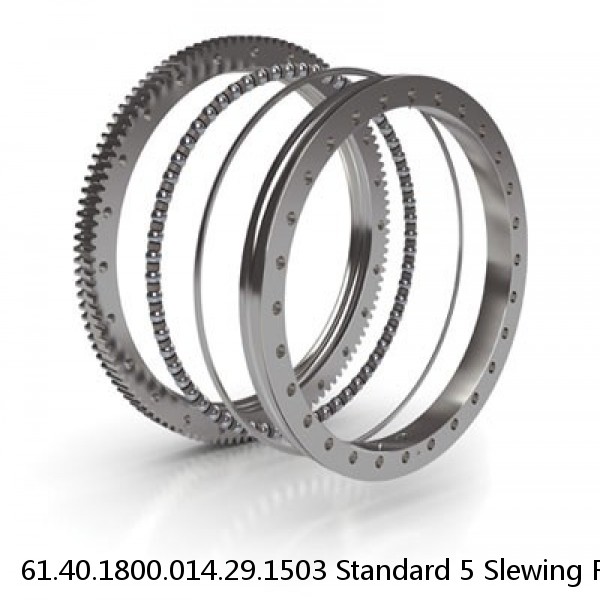 61.40.1800.014.29.1503 Standard 5 Slewing Ring Bearings