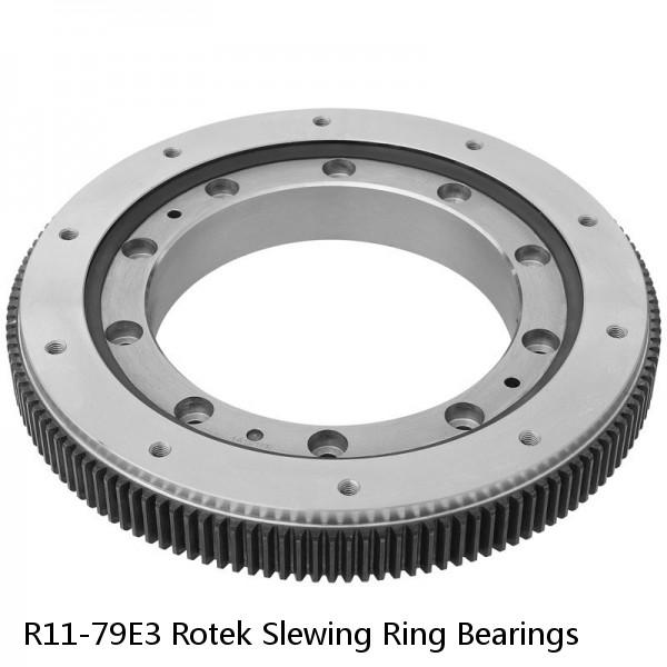 R11-79E3 Rotek Slewing Ring Bearings