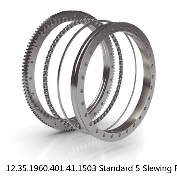 12.35.1960.401.41.1503 Standard 5 Slewing Ring Bearings