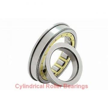 1.969 Inch | 50 Millimeter x 4.331 Inch | 110 Millimeter x 1.575 Inch | 40 Millimeter  CONSOLIDATED BEARING NJ-2310E  Cylindrical Roller Bearings