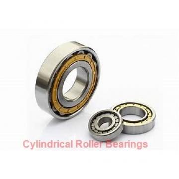 1.772 Inch | 45 Millimeter x 4.724 Inch | 120 Millimeter x 1.142 Inch | 29 Millimeter  CONSOLIDATED BEARING NJ-409  Cylindrical Roller Bearings