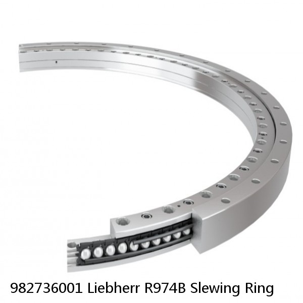 982736001 Liebherr R974B Slewing Ring