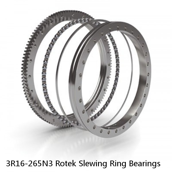 3R16-265N3 Rotek Slewing Ring Bearings