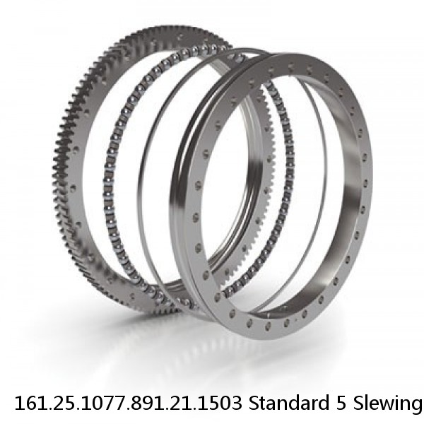 161.25.1077.891.21.1503 Standard 5 Slewing Ring Bearings