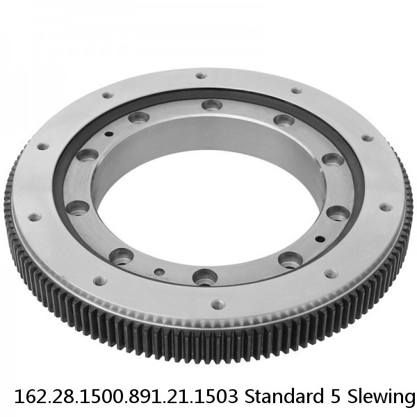 162.28.1500.891.21.1503 Standard 5 Slewing Ring Bearings