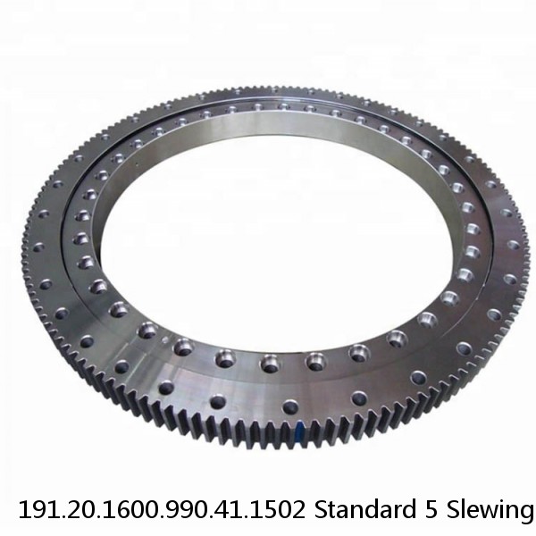 191.20.1600.990.41.1502 Standard 5 Slewing Ring Bearings