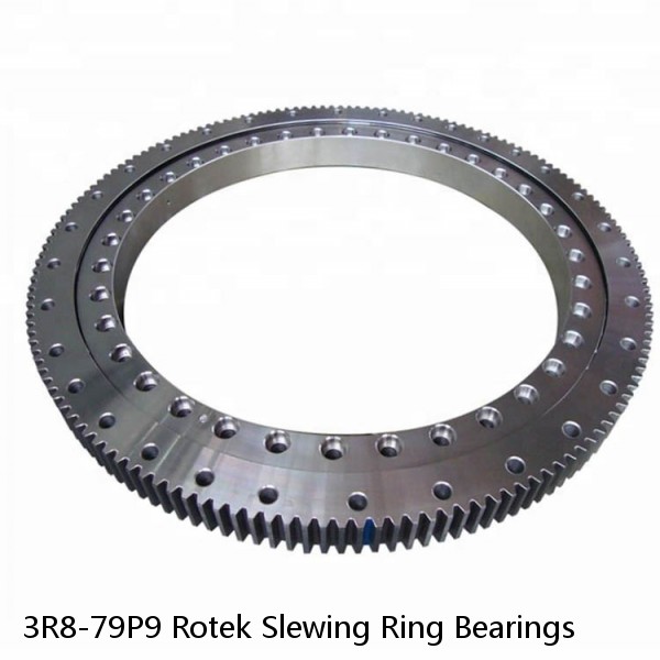 3R8-79P9 Rotek Slewing Ring Bearings