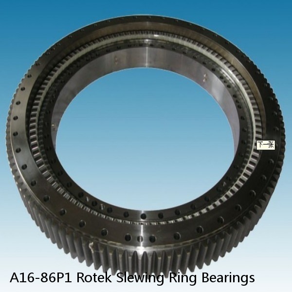 A16-86P1 Rotek Slewing Ring Bearings