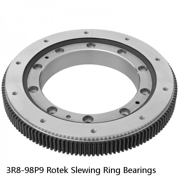 3R8-98P9 Rotek Slewing Ring Bearings