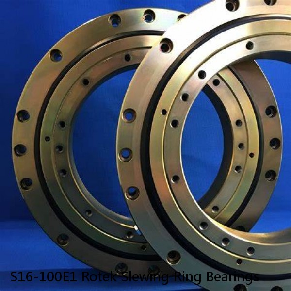 S16-100E1 Rotek Slewing Ring Bearings