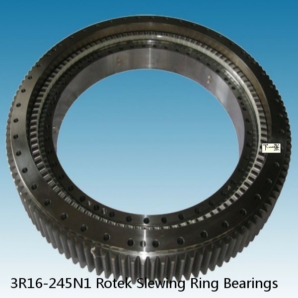 3R16-245N1 Rotek Slewing Ring Bearings