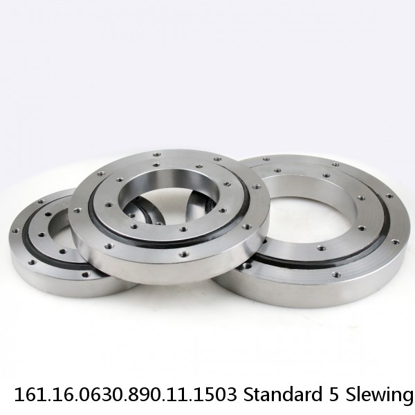 161.16.0630.890.11.1503 Standard 5 Slewing Ring Bearings