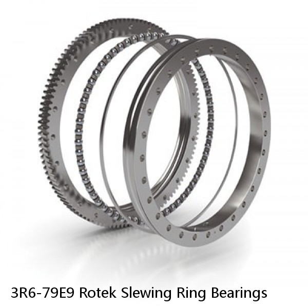 3R6-79E9 Rotek Slewing Ring Bearings