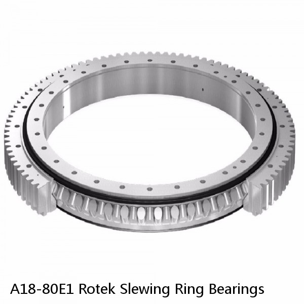 A18-80E1 Rotek Slewing Ring Bearings