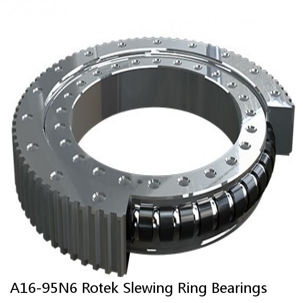 A16-95N6 Rotek Slewing Ring Bearings