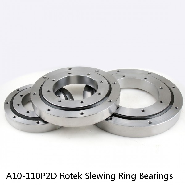 A10-110P2D Rotek Slewing Ring Bearings