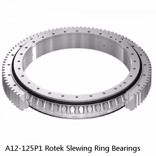 A12-125P1 Rotek Slewing Ring Bearings