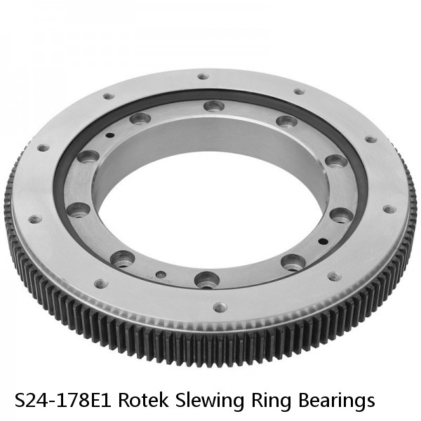 S24-178E1 Rotek Slewing Ring Bearings