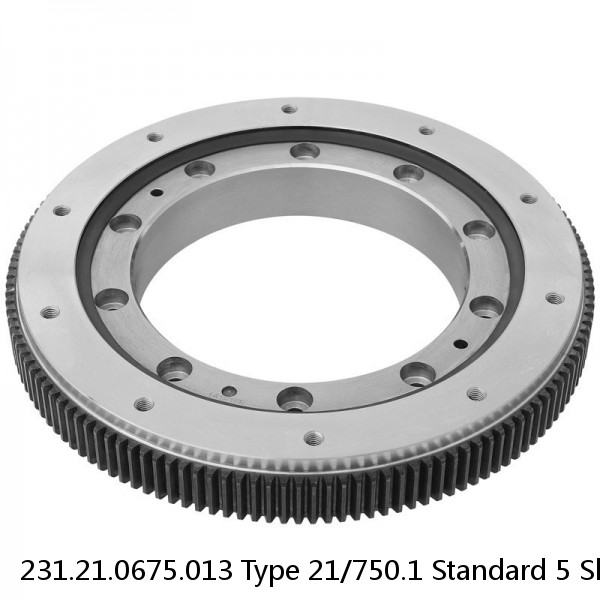 231.21.0675.013 Type 21/750.1 Standard 5 Slewing Ring Bearings