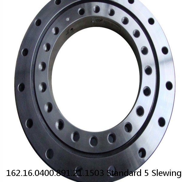 162.16.0400.891.21.1503 Standard 5 Slewing Ring Bearings