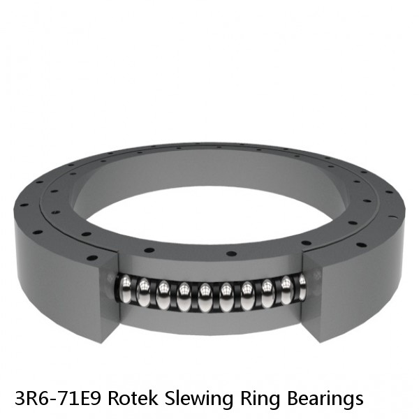 3R6-71E9 Rotek Slewing Ring Bearings