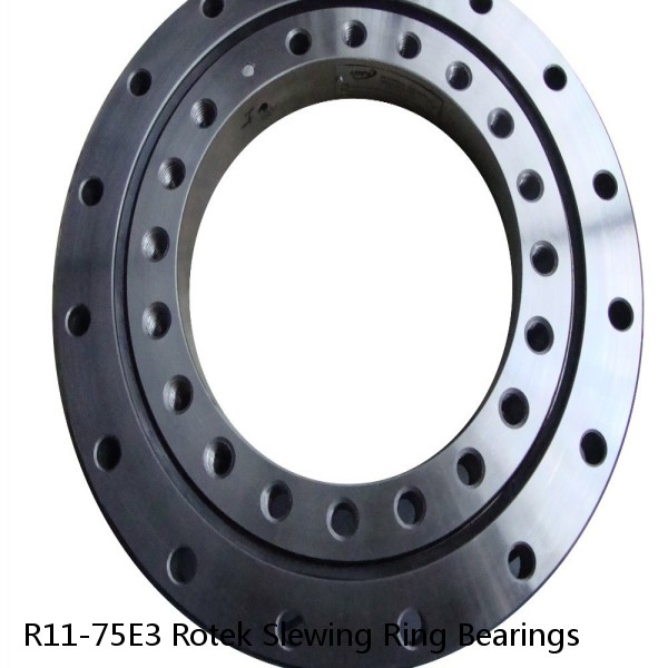 R11-75E3 Rotek Slewing Ring Bearings