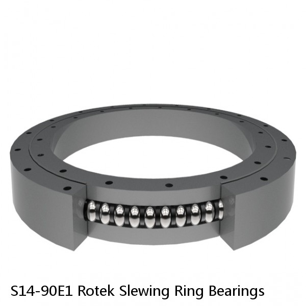 S14-90E1 Rotek Slewing Ring Bearings