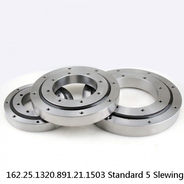 162.25.1320.891.21.1503 Standard 5 Slewing Ring Bearings