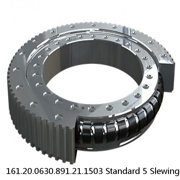 161.20.0630.891.21.1503 Standard 5 Slewing Ring Bearings