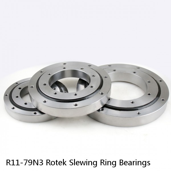 R11-79N3 Rotek Slewing Ring Bearings