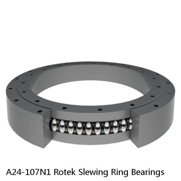 A24-107N1 Rotek Slewing Ring Bearings