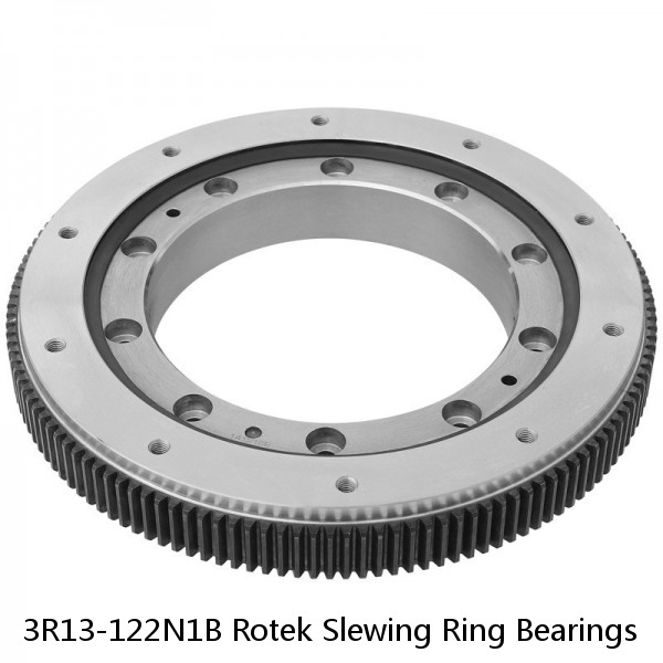 3R13-122N1B Rotek Slewing Ring Bearings