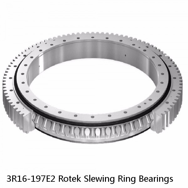 3R16-197E2 Rotek Slewing Ring Bearings