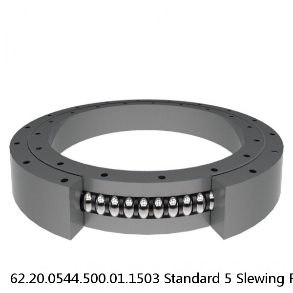 62.20.0544.500.01.1503 Standard 5 Slewing Ring Bearings