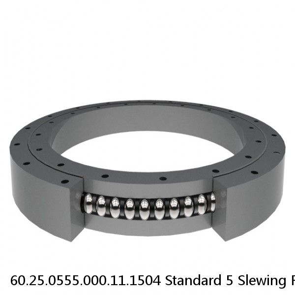 60.25.0555.000.11.1504 Standard 5 Slewing Ring Bearings