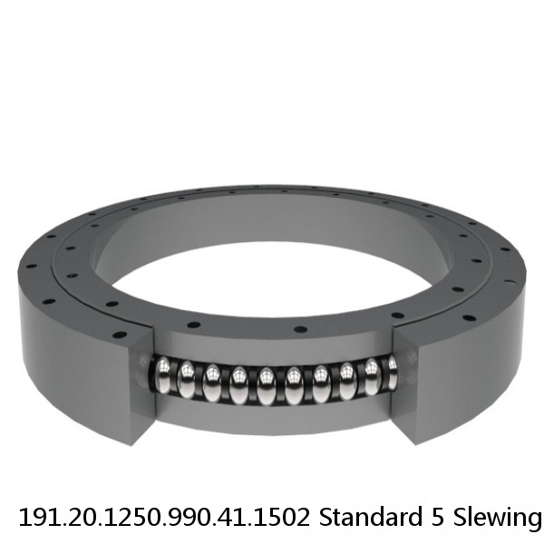 191.20.1250.990.41.1502 Standard 5 Slewing Ring Bearings