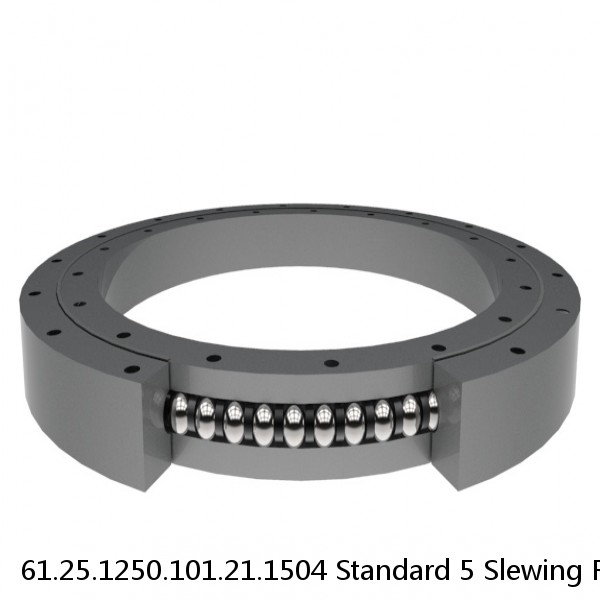 61.25.1250.101.21.1504 Standard 5 Slewing Ring Bearings