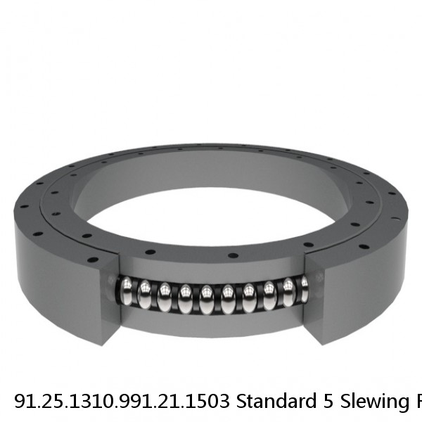 91.25.1310.991.21.1503 Standard 5 Slewing Ring Bearings