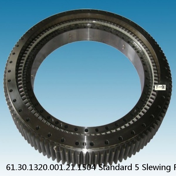 61.30.1320.001.21.1504 Standard 5 Slewing Ring Bearings